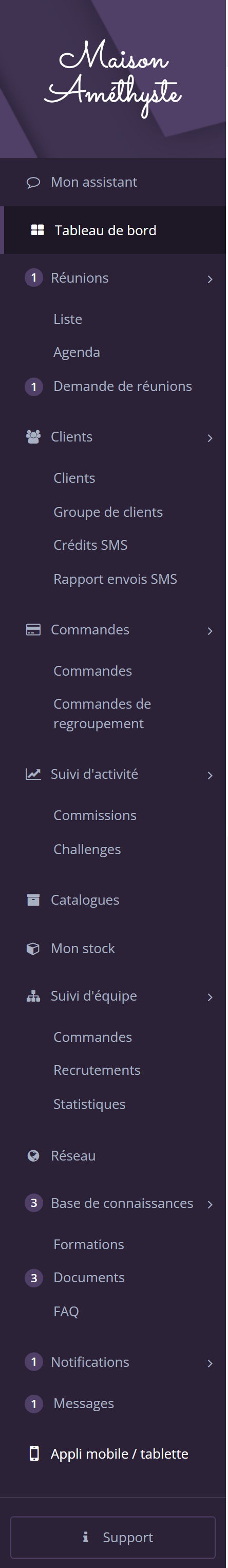 Menu de gauche déplié de la marque de démonstration, avec ses sous-menus et ses pastilles de compteurs